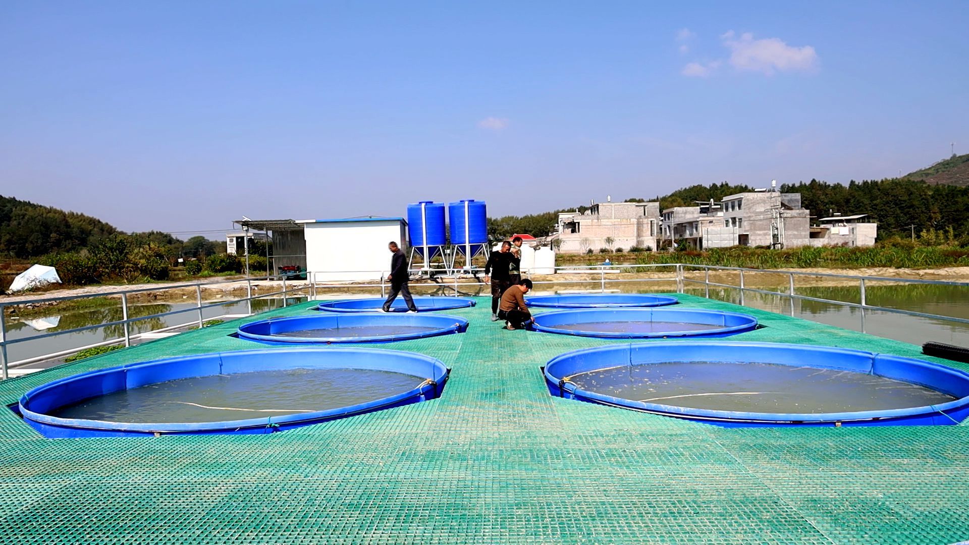 ras循环水,水产养殖摆脱抗生素的新希望!