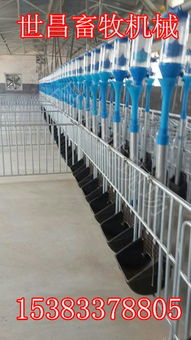 世昌养猪设备厂供应料线猪用自动料线,世昌养猪设备厂供应料线猪用自动料线生产厂家,世昌养猪设备厂供应料线猪用自动料线价格