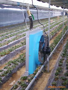 生产供应商厂家 今日行情价格走势 报价 万信养殖温控设备制造厂