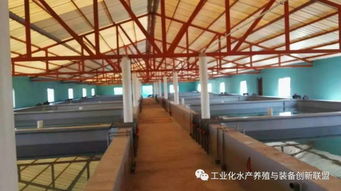 我们要养鱼,我们也要环保,工厂化水产养殖系统备受关注