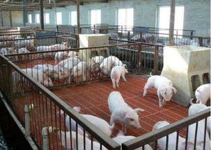 为什么大多养殖场决定使用玻璃钢格栅