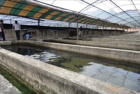 台湾水产生物科技投资贵州铜仁市水产养殖项目达成合作意向