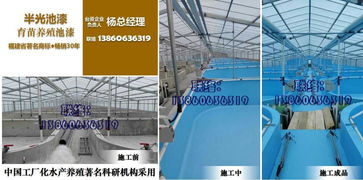 工厂化水产养殖 养鱼 养虾专用池漆