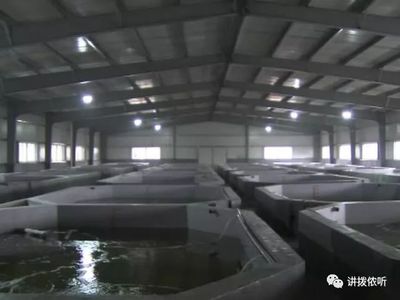 全省首创!这样的水产养殖方式,你见过吗?