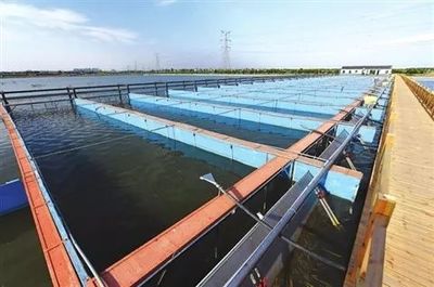 【专题研究】以水为魂、彰显魅力 --以金湖“水漾年华”为例分析如何做好“水”主题园区