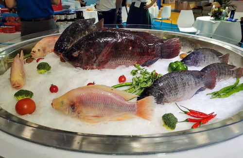 第六届中国 广州 国际渔业博览会今日开幕