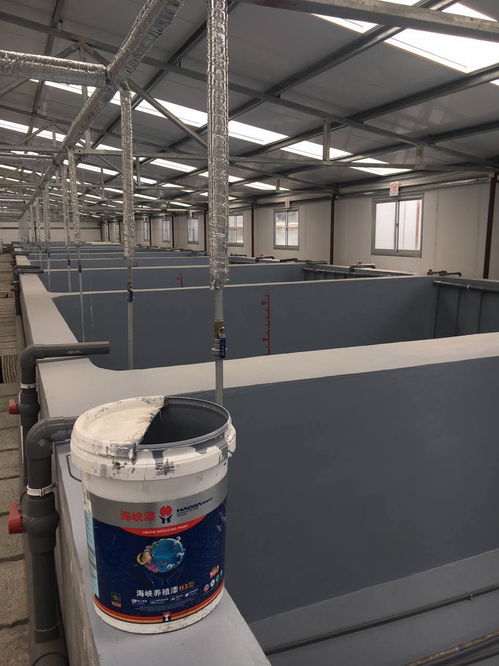 南美白对虾养殖场刷涂水产漆的重要性