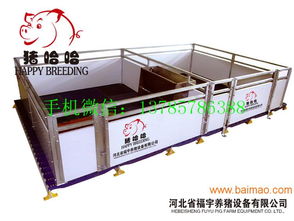 猪哈哈小猪保育栏高床育仔栏厂家直销,猪哈哈小猪保育栏高床育仔栏厂家直销生产厂家,猪哈哈小猪保育栏高床育仔栏厂家直销价格