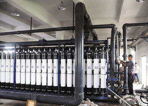 污水处理后可养鱼 浙江温岭污水处理提标工程见成效