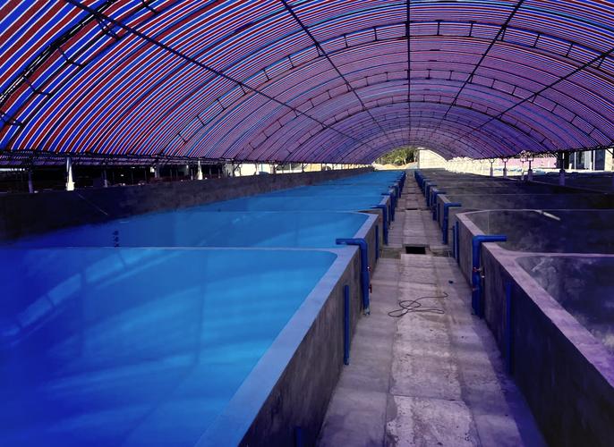 天可汗生态养殖漆,助力水产养殖