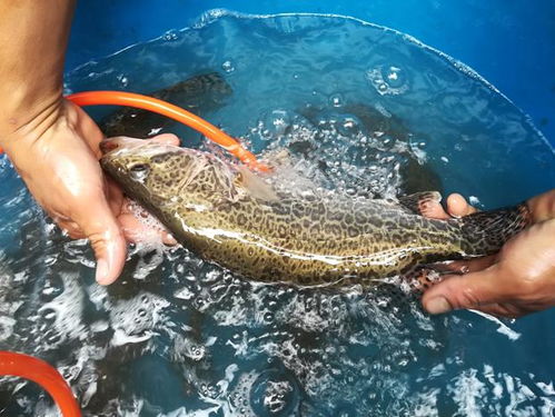 三水区人民政府