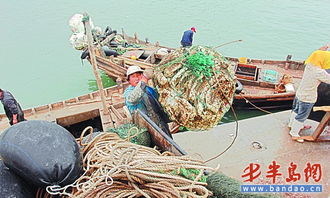 休渔期间养殖海鲜唱主角 水产品价格小幅走低