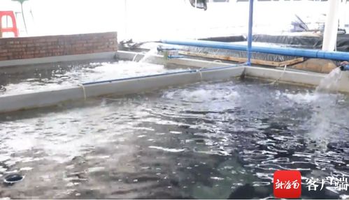 琼海找准水域滩涂养殖证 梗阻 破解水产养殖户 办证难