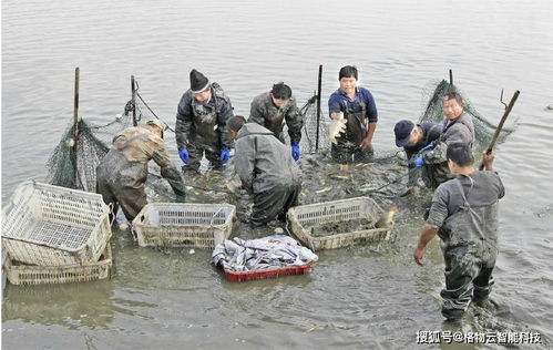 智慧水产养殖整体解决方案