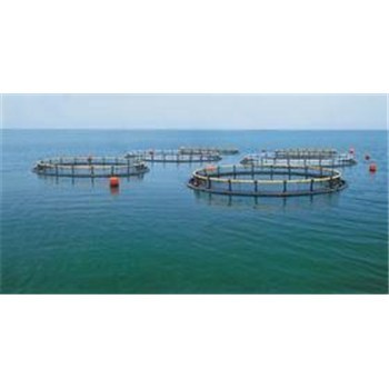 现款收购小麦大麦|宜昌市小麦大麦|汈汊湖水产养殖(图)-企汇网