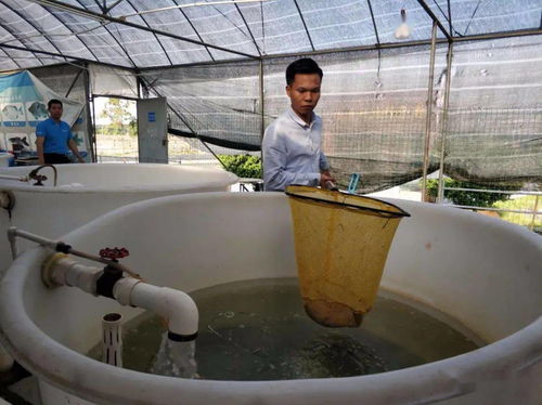 小康故事 一位95后的新型职业农民梦