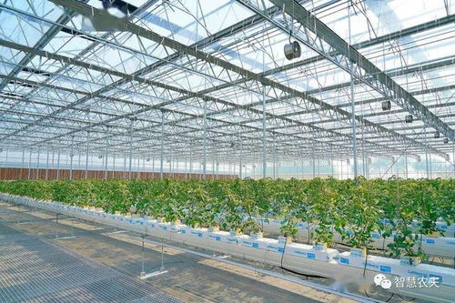 我国第一部现代设施农业建设规划出台,到2030年将实现多个目标