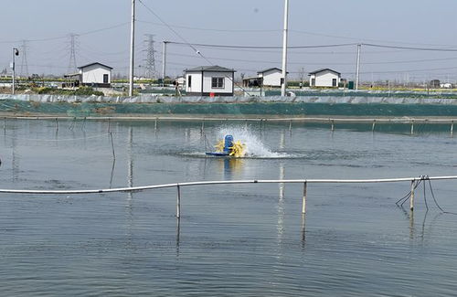 市供电公司 精准服务 保障春季水产品养殖用电安全