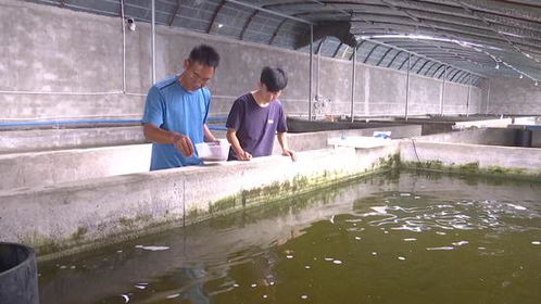 实现水产养殖西移 助力麦盖提产业多元化发展