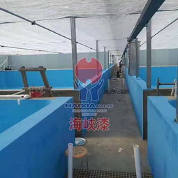 工厂化水产养殖为什么要刷海峡漆水产养殖漆