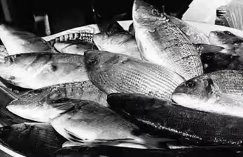 仙居 70年 沧桑巨变七十年 农业农村大发展