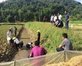 上海海洋大学赴德宏州开展名优水产品稻田养殖技术培训