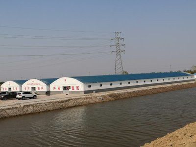 党建引领,靶向施策,产业扶贫“见真章”