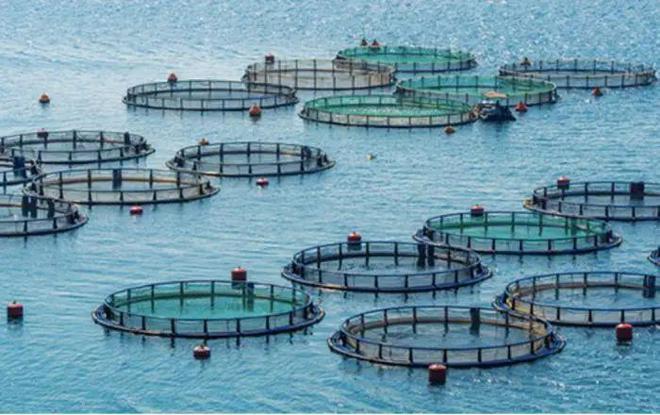 预制菜产业,这一省将领跑全国?