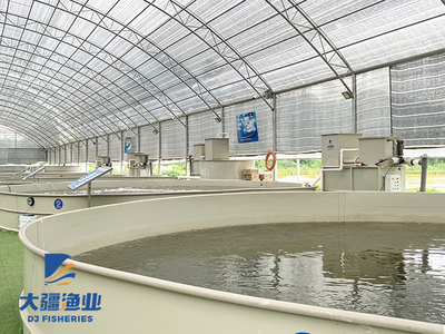 智慧渔业让水产养殖更智能,拿着手机也能养鱼