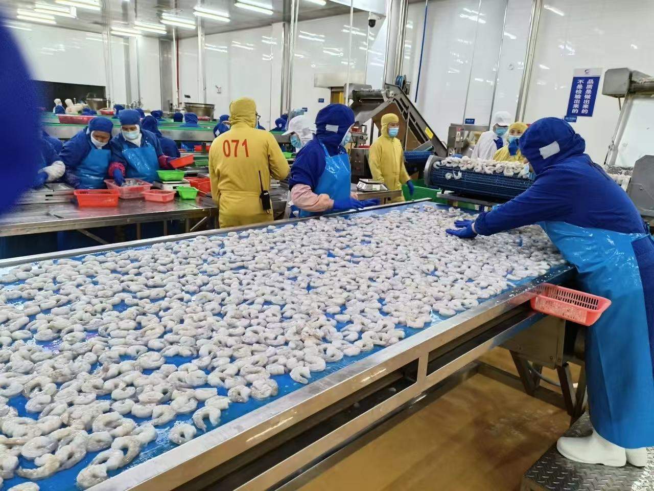 依托水产养殖,在湛江建立了占地8万平方米的工厂,配置了6条鱼类产品