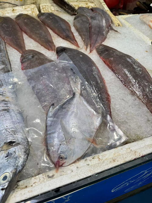 休渔期,温州人的 海鲜自由 受影响吗