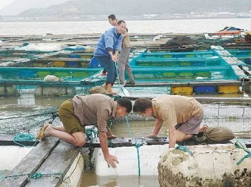 我省全面强化 两节 期间水产品养殖监管执法