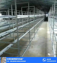 不锈钢肉鸡笼价格 禽翔笼具厂 肥城肉鸡笼