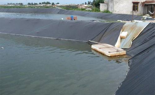 鱼塘防渗膜怎么选择