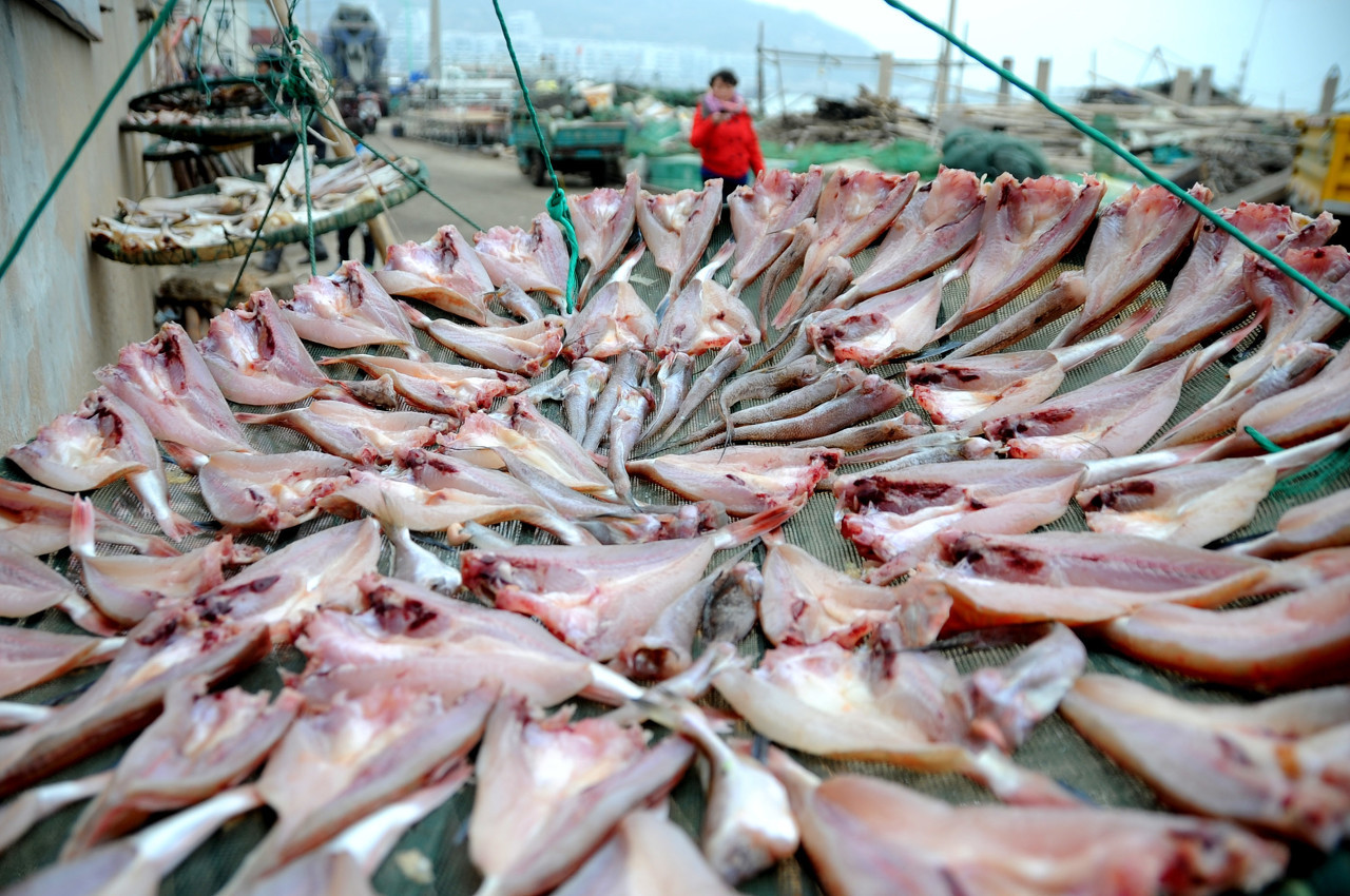 这年头水产养殖的前景怎么样?