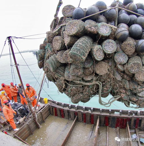 涨知识 沿海人民是如何喂饱中国的