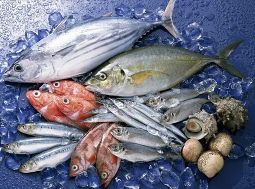 市场监管总局加大水产品食品安全监管及食盐价格监管力度 每日金闻