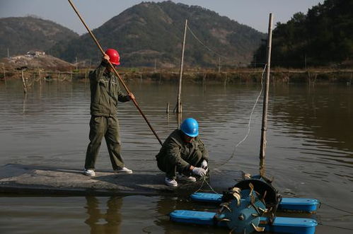 浙江三门蛇蟠岛电力之变 保障养殖水产品增收致富