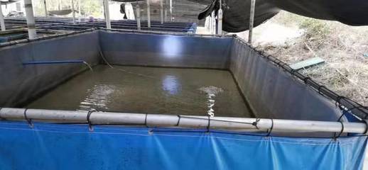 环保养殖帆布水池,水产养殖帆布水池