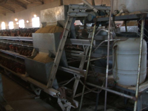 日照养鸡设备 煜鑫畜牧 已认证 养鸡设备