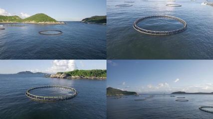 水产养殖水产养殖