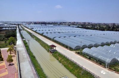 托起满满幸福感!福清农业发展走出新路子