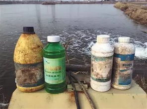 水产品还能吃吗 广州有花甲沙甲白贝检出兽药