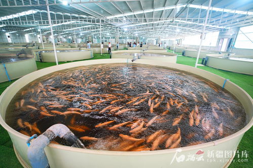 边关万里行 征途丨从喀什到和田,总让人耳目一新