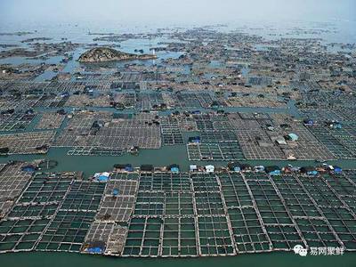 FAO:到2030年全球水产养殖产量将增长近40%