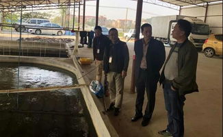 绿色科技引领未来 南海区水产品养殖产业发展探析