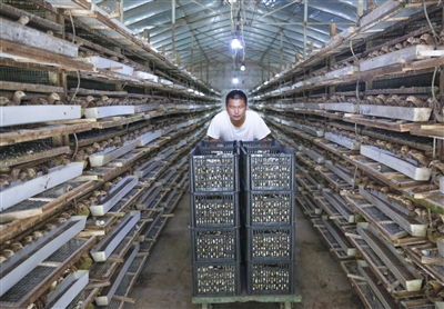 乡村新貌 年轻人返乡开启水产品养殖新篇章