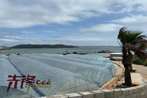 水产品养殖中药品与饲料添加剂的应用与规范