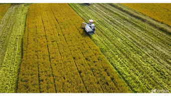 湖州美味跃上杭州餐桌 千张包、红烧湖羊与太湖蟹肉的传承与创新