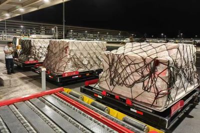 花湖机场首单鲜活水产品试航成功，水产品养殖产业迎来新机遇